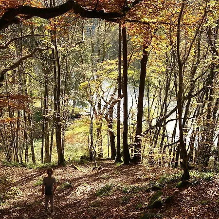 בקתה Le Mirador *