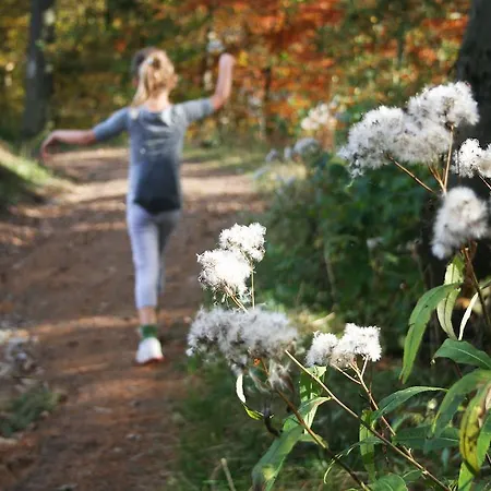 Le Mirador דורבורי